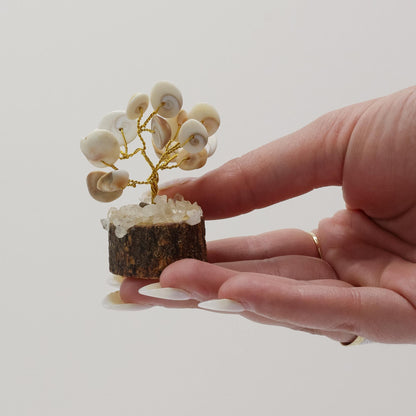 Kis Gomati Chakra Kör alakú kőfák - (15 kő)