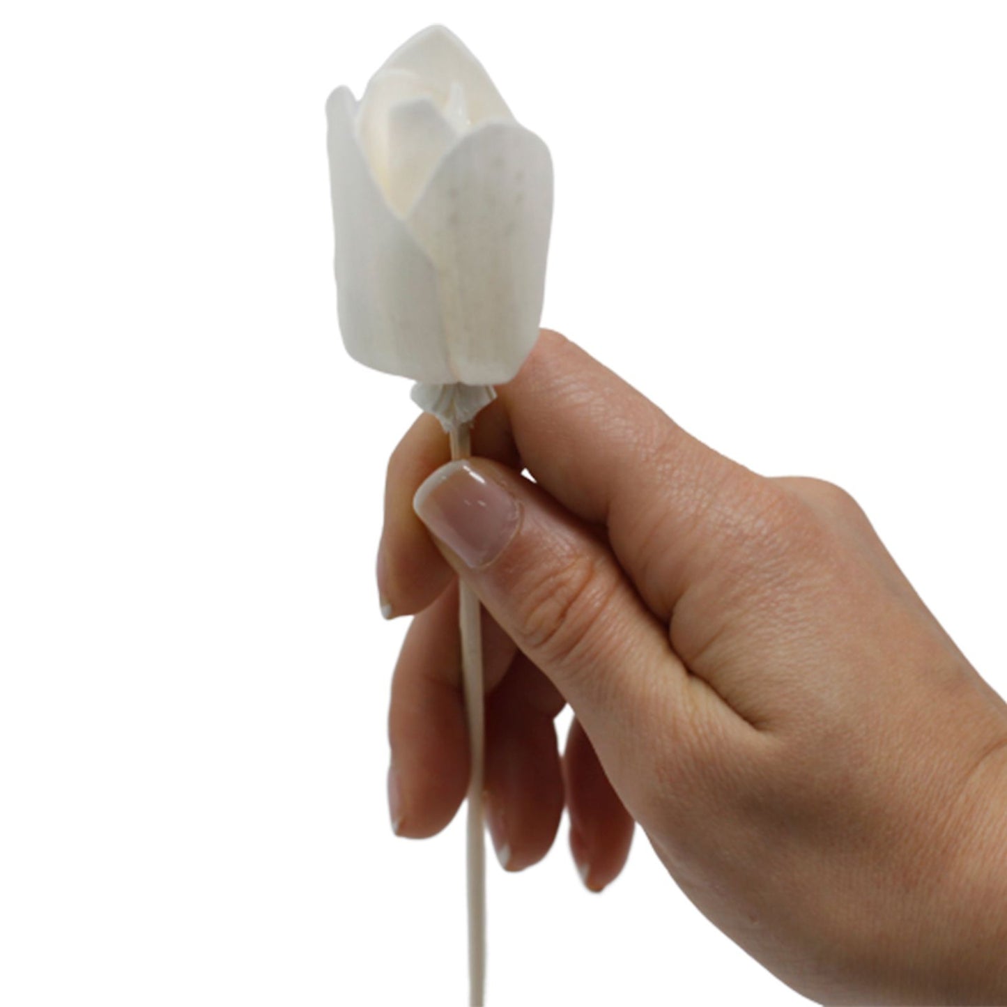 Természetes Diffúzor Virágok - Tulipán nádpálcán
