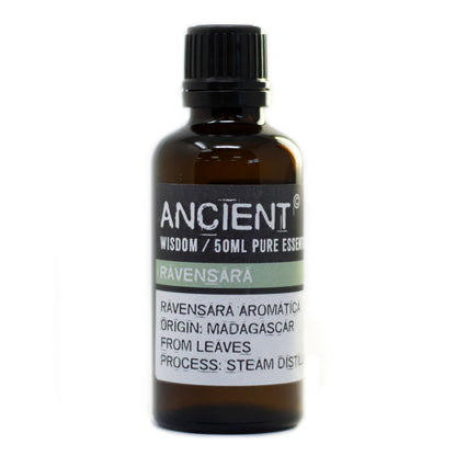 Ravensara 50 ml illóolaj