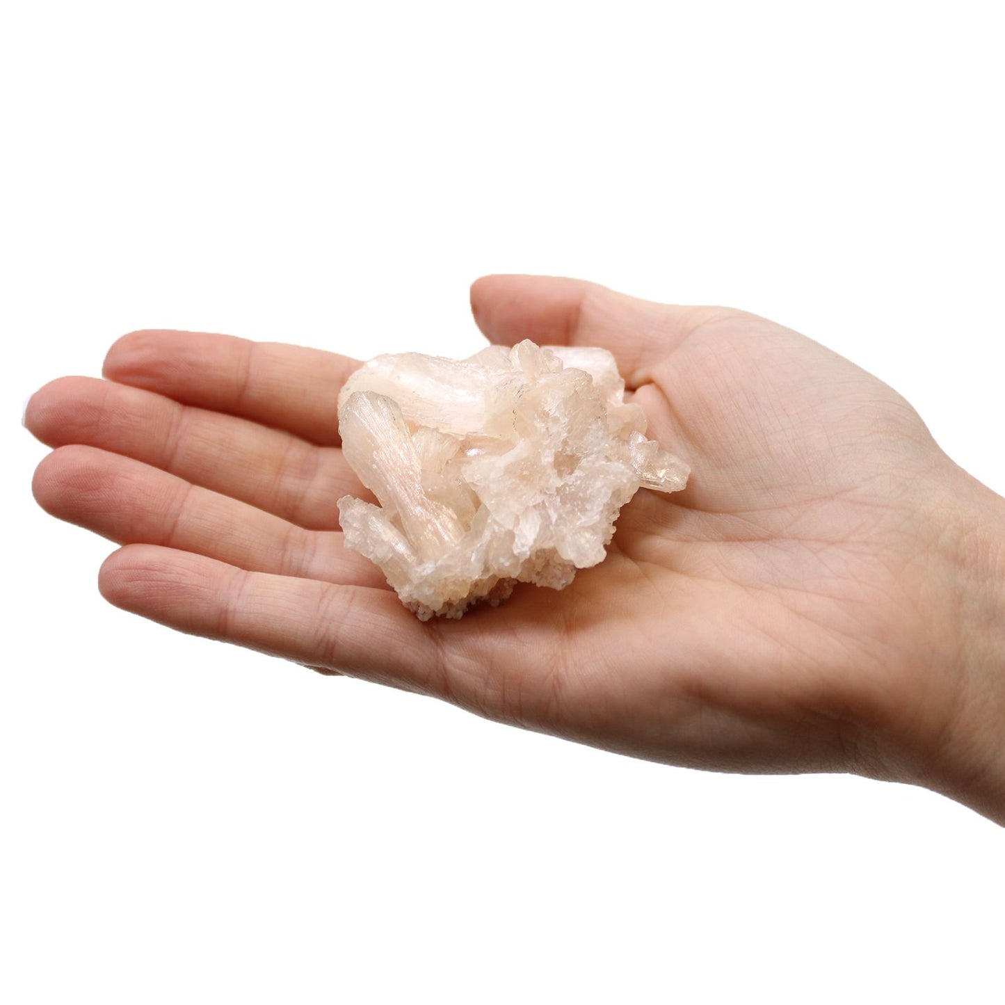 Ujjkvarc (min. 5 darab 1 kg-os csomagonként)