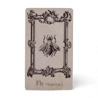 Spellbook Oracle Kártyák - Boszorkányság Pakli
