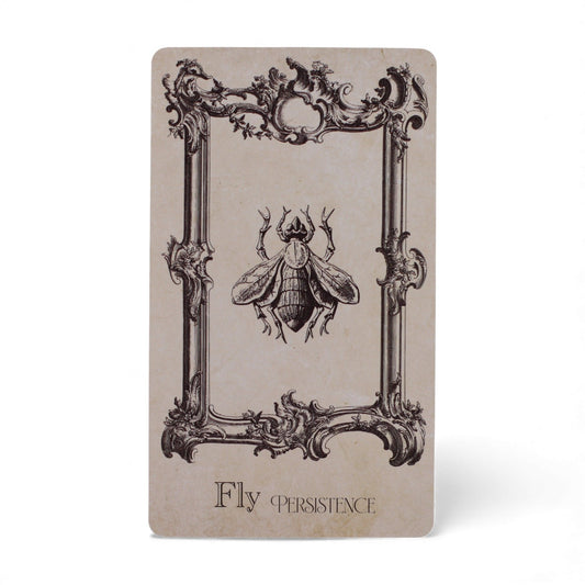 Spellbook Oracle Kártyák - Boszorkányság Pakli