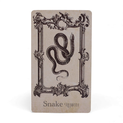 Spellbook Oracle Kártyák - Boszorkányság Pakli