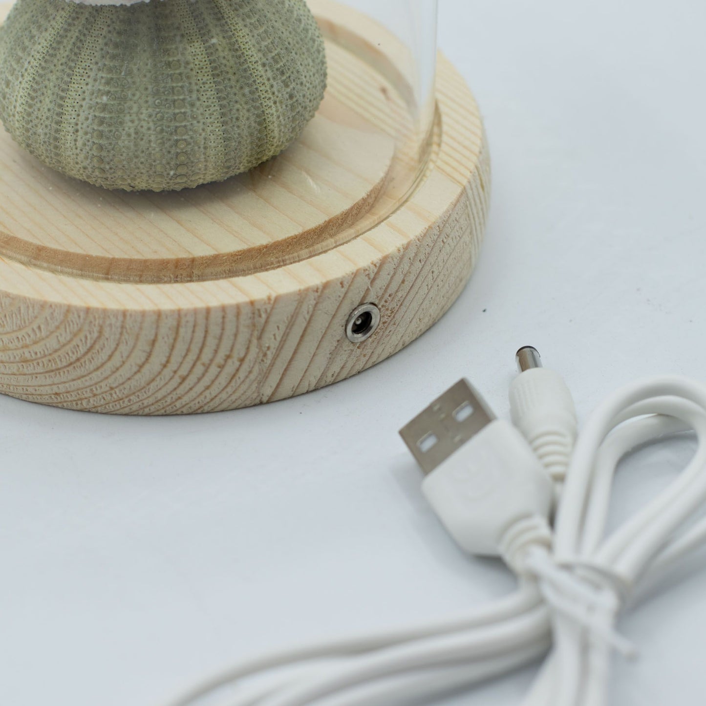 Floral Glow kerti kupola – 3 tengeri sün – LED USB