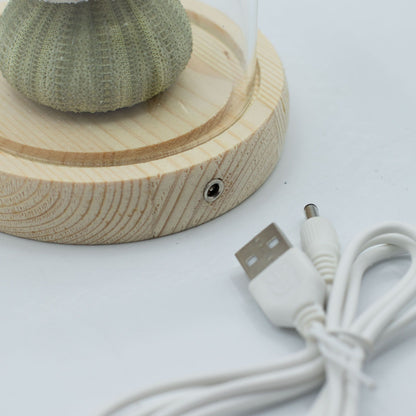 Floral Glow kerti kupola – 3 tengeri sün – LED USB